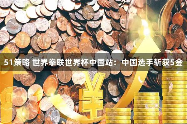 51策略 世界拳联世界杯中国站:中国选手斩获5金